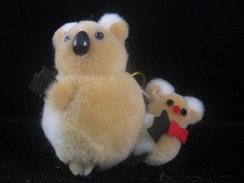 koalabeertje